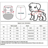 Dog Pumpkin Halloween Costume