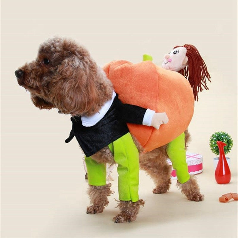 Dog Pumpkin Halloween Costume