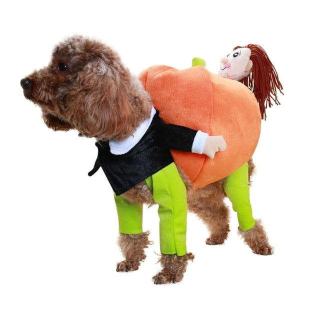 Dog Pumpkin Halloween Costume
